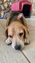 Marley