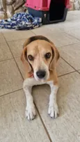 Marley