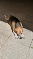Marley