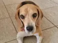 Marley