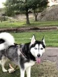 Lua