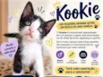 Kookie