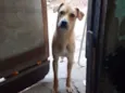 Falar com Elaine - Whats 11 95210-0373