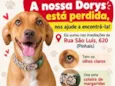 Dorys