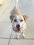 Dulce
