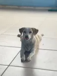 Dulce