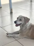Dulce
