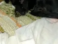 Pipoca