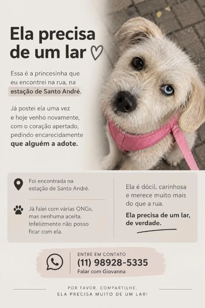 Cachorro raça SRD-ViraLata idade 2 anos nome Lolla