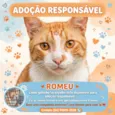Romeu
