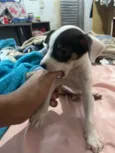 Não momento estão sem nomes 