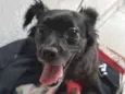Mel