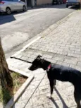 luma