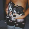 2 meses de vida