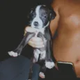 2 meses de vida