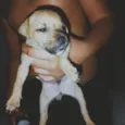 2 meses de vida