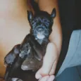 2 meses de vida