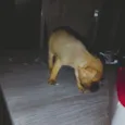 2 meses de vida