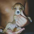 2 meses de vida