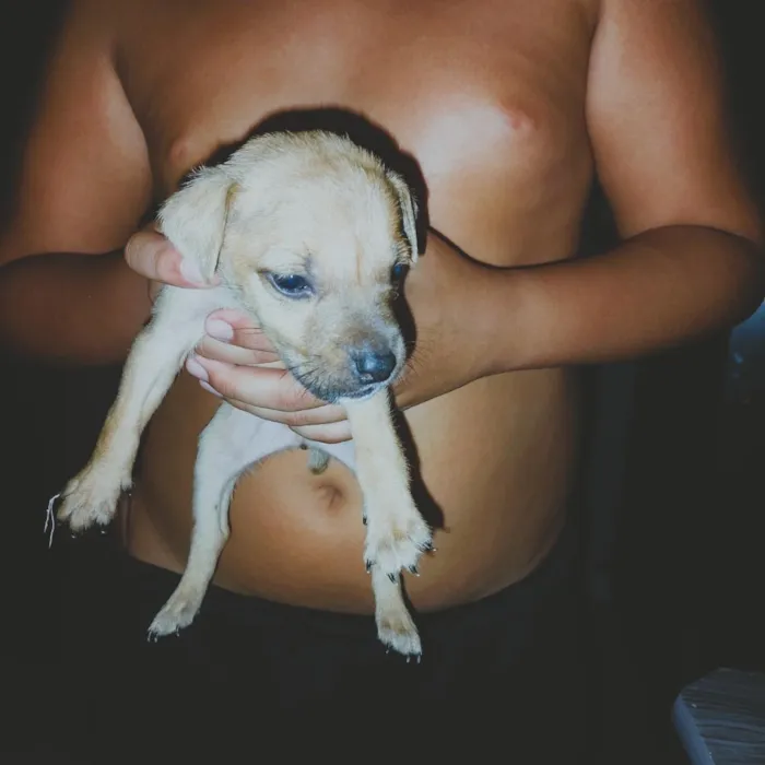 Cachorro raça SRD-ViraLata idade Abaixo de 2 meses nome 2 meses de vida