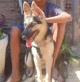 kiara