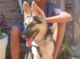 kiara
