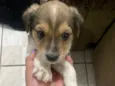 Não tem nome ainda