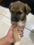 Não tem ainda 