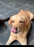 Maria/Nina