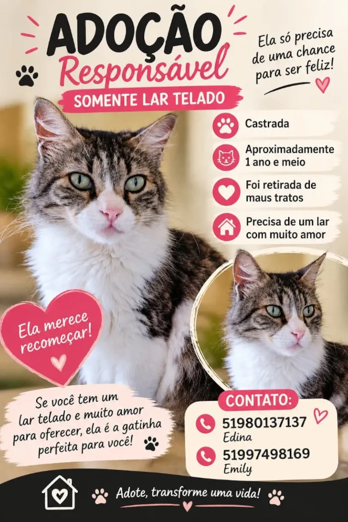 Gato raça SRD-ViraLata idade 1 ano nome Juma