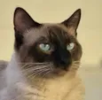 Mike
