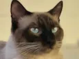 Mike