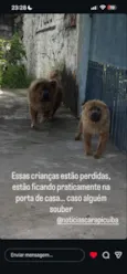 Não sei 