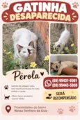 Pérola