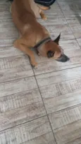 Melo