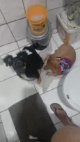 mel e loop