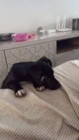 Tyson