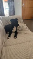 Tyson