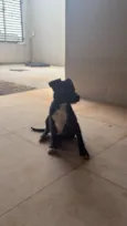 Tyson