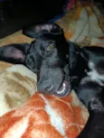 José 
