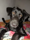 José 
