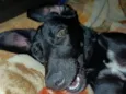 José 