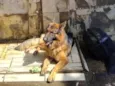 Zeus