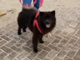tuti