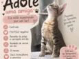 Nala