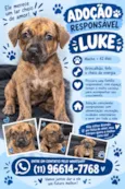 Luke