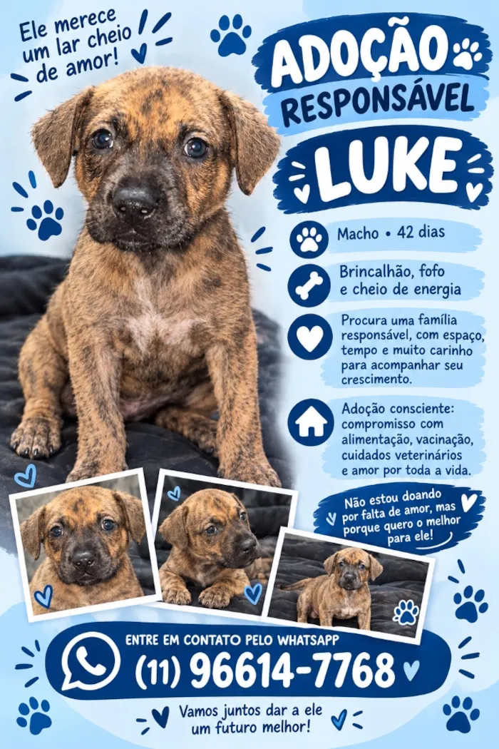 Cachorro raça SRD-ViraLata idade Abaixo de 2 meses nome Luke