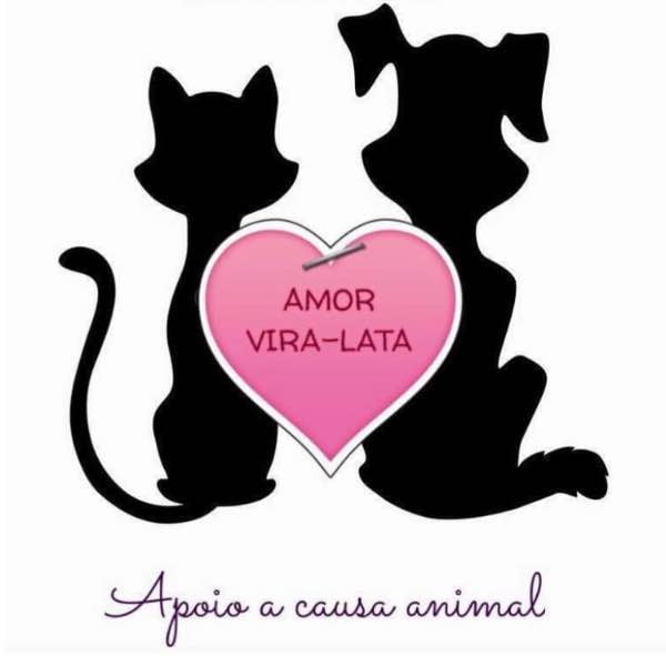 Feira e evento de adoção de cachorros e gatos - Amor Vira-Lata em Rio Grande do Sul - Porto Alegre