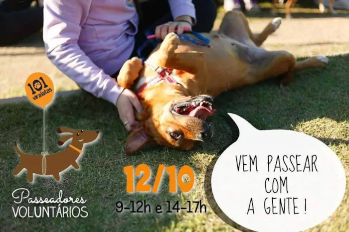 Participe da nossa feira de adoção! Inscreva-se agora pelo link e ajude a encontrar um lar para esses animais. http://goo.gl/forms/nrJXL6WbdC