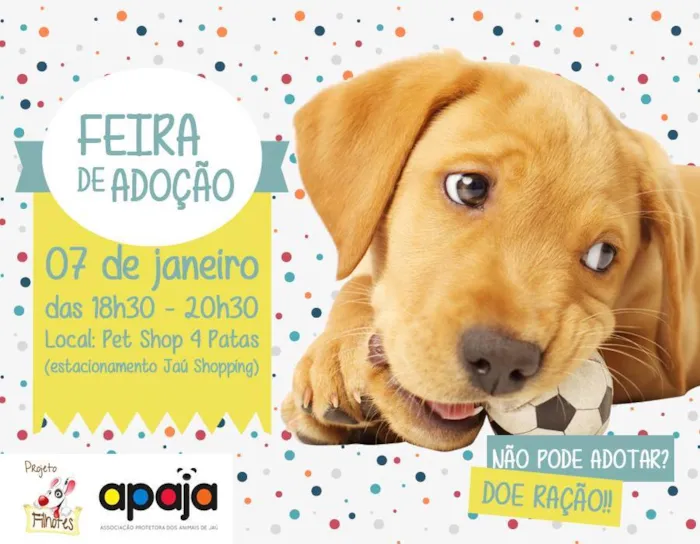 Participe da Feira de Adoção em Jaú SP e encontre seu novo melhor amigo. Venha conhecer cães e gatos prontos para uma nova família!